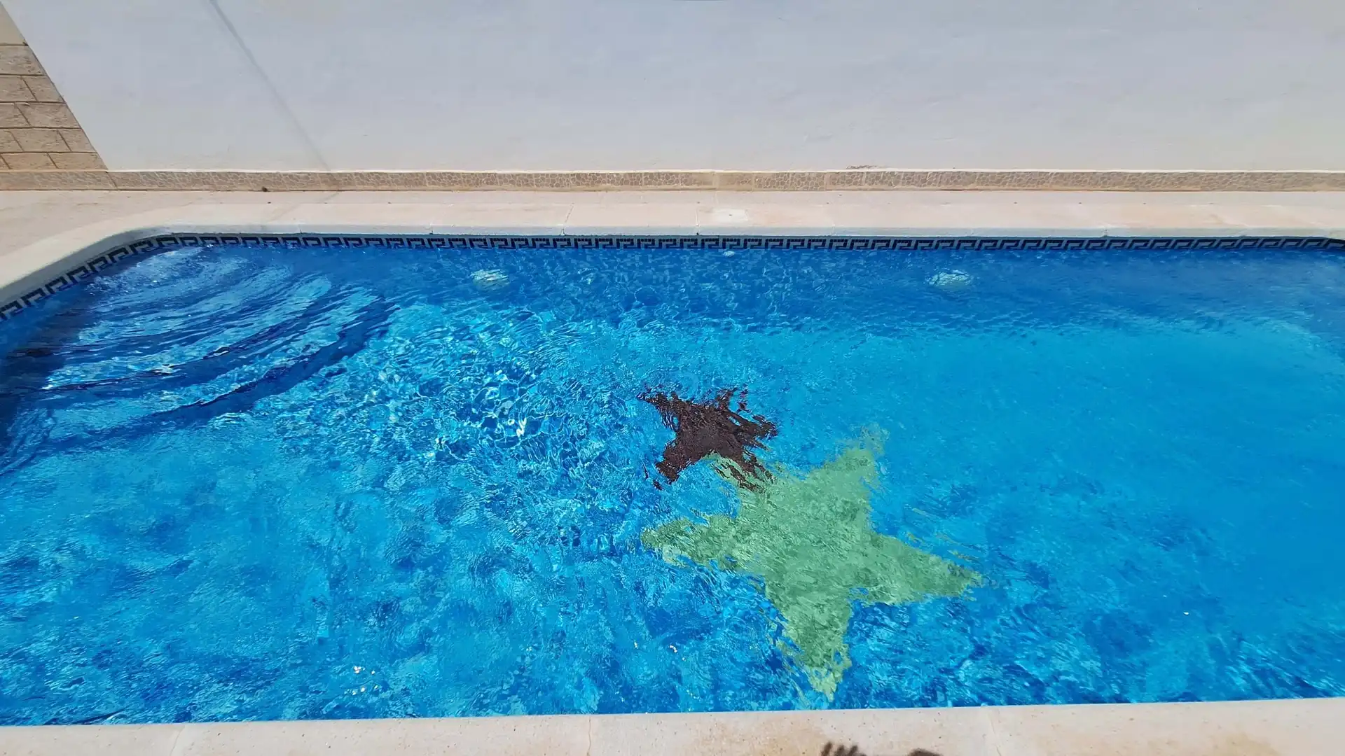 Swimming pool of Flat for sale in Daya Nueva  with Terrace, Swimming Pool and Balcony