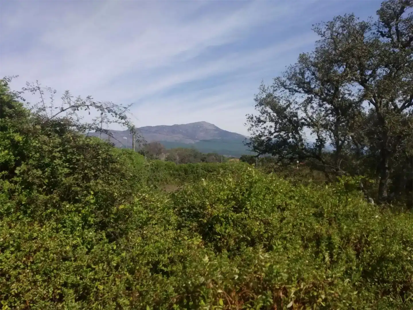 Finca rústica en venda en Parrillas
