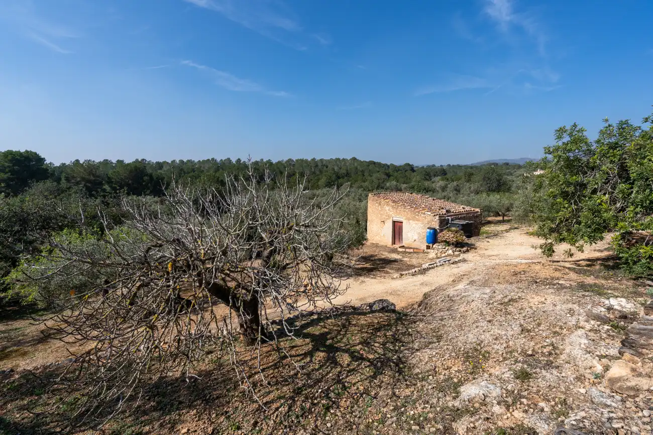 Terrain rustique à vendre à Camí Del Filato 1093, imagen 2