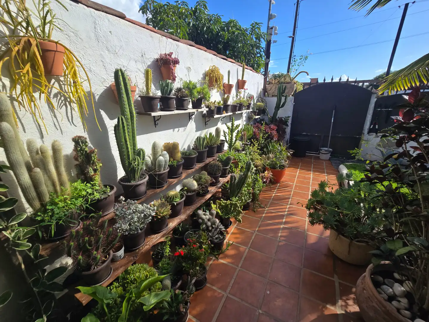 Jardí de Casa o xalet en venda en Arona amb Aire condicionat, Jardí privat i Parquet