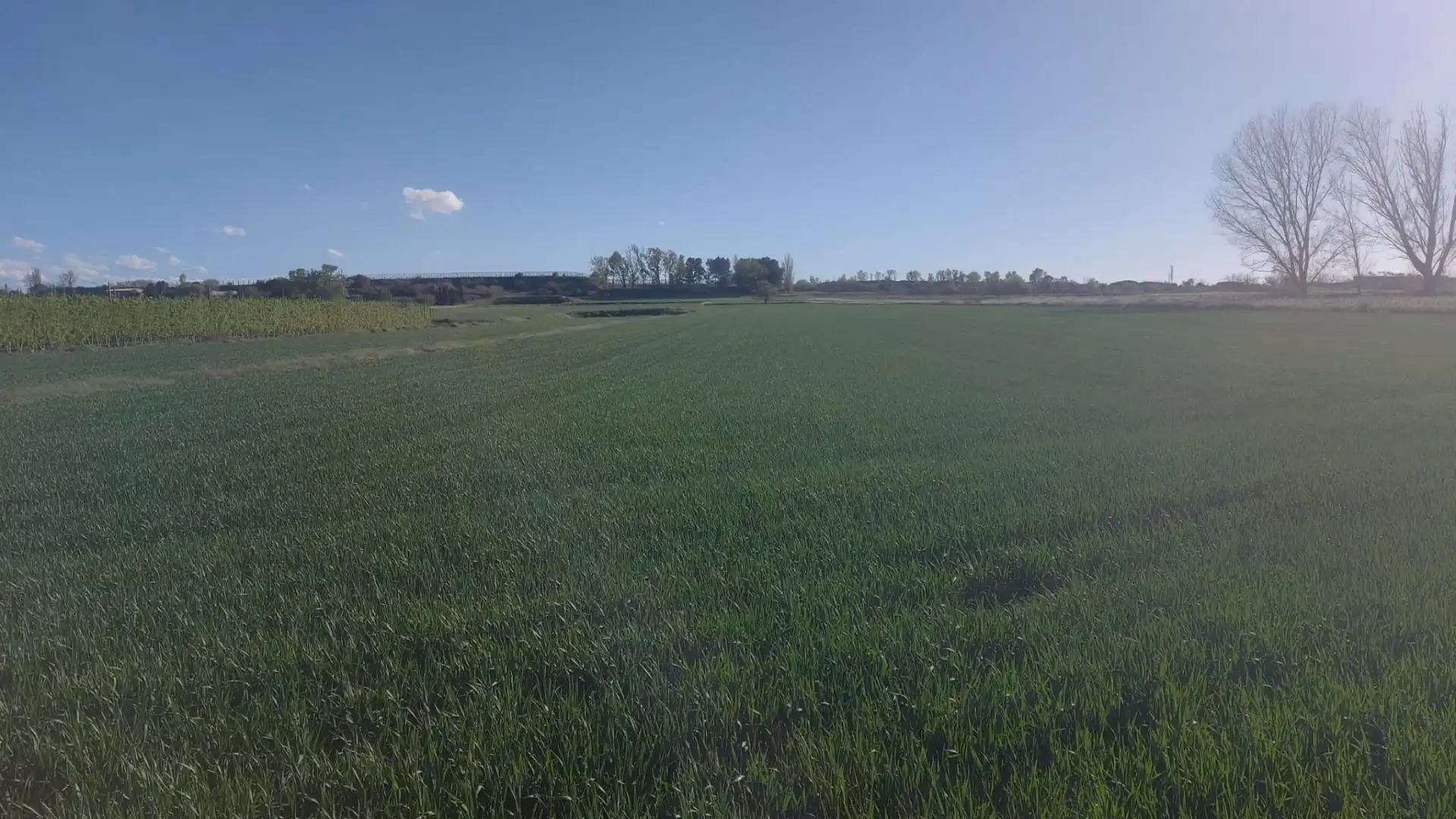 Terreni e lotti in vendita a Fondarella, imagen 4