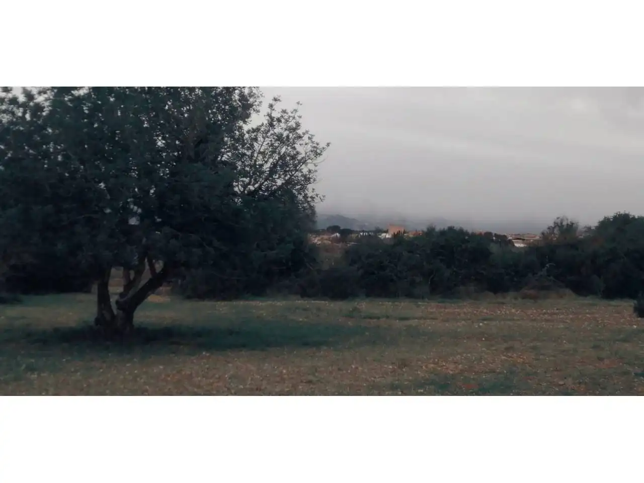 Rural land for sale in Calle Camino de Godall, imagen 8