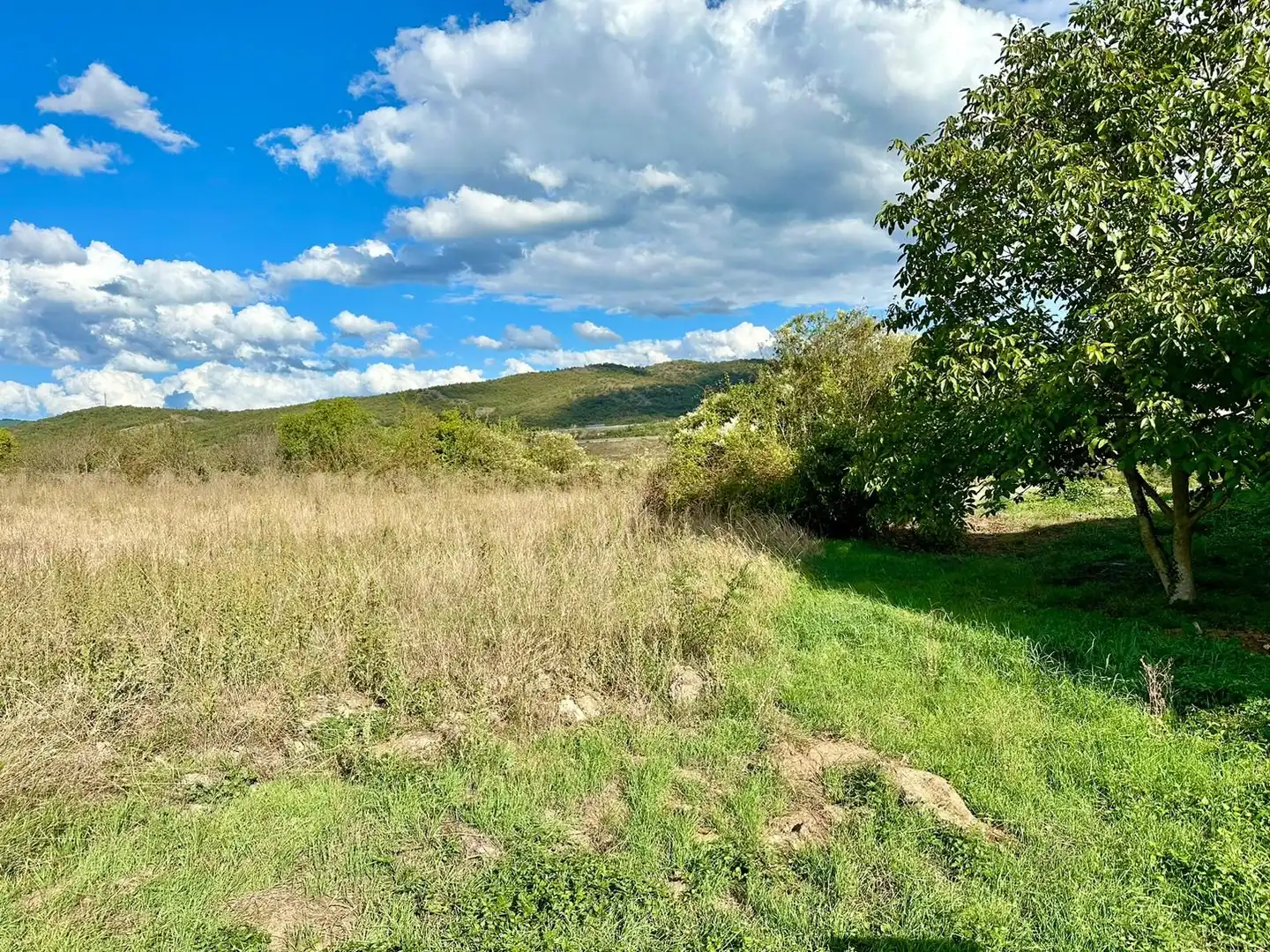 Residential land for sale in Legutio