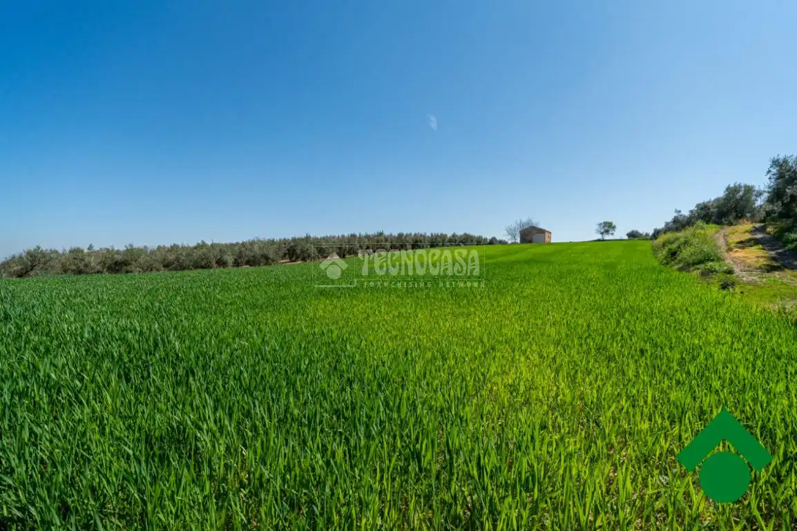 Finca rústica en venta en Chauchina