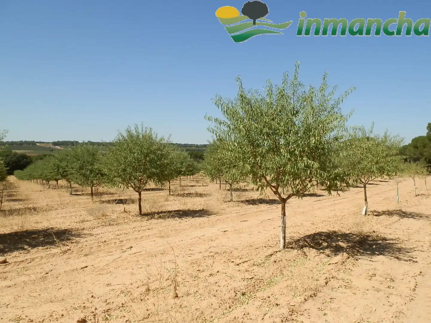 Rural land for sale in La Roda, imagen 21