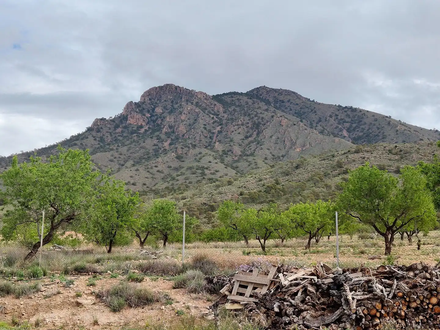 Casa o chalet en venta en Jumilla