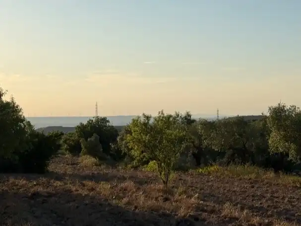 Rustikales Grundstück zum Verkauf in Tosalet 42, imagen 16