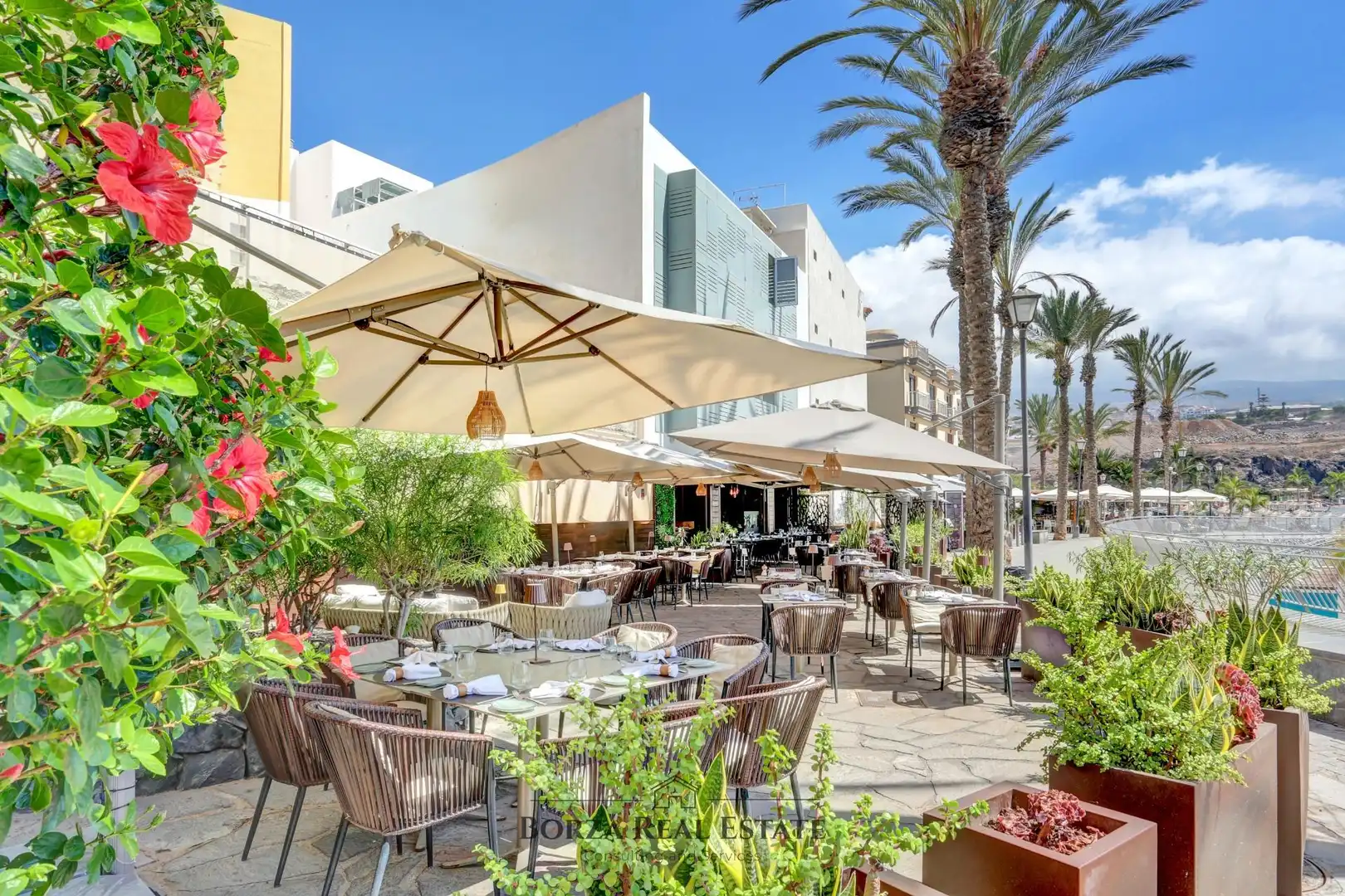 Local commercial à louer à Paseo Marítimo Playa San Juan s/n, imagen 2