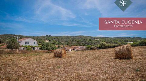 Foto 5 de Finca rústica en venda a Es Grau - Serra Morena, Maó - Mahón