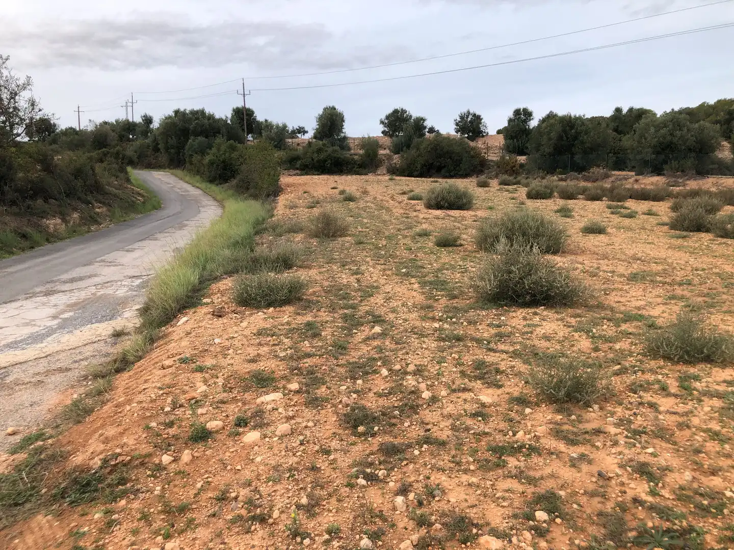 Terreno rústico en venta en Vila-rodona, imagen 2