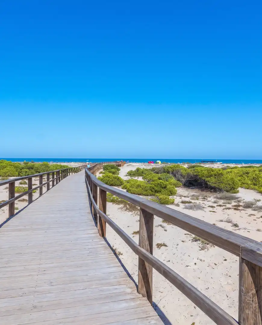 Vista exterior de Ático en venta en Elche / Elx con Aire acondicionado, Calefacción y Jardín privado