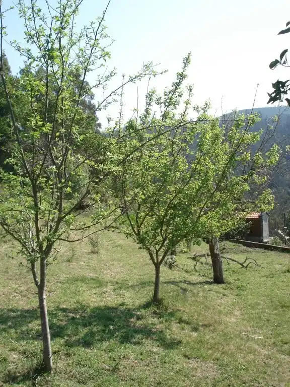 Terreny residencial en venda a Lousame, imagen 10
