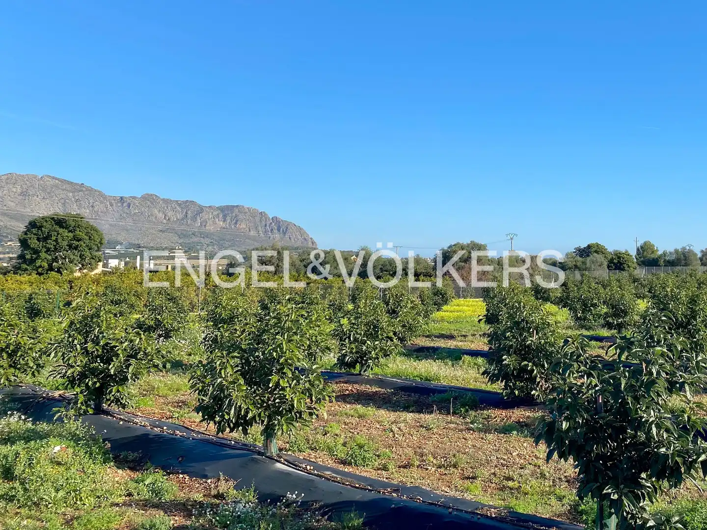 Houses for sale in Benidoleig  with Heating, Private garden and Terrace