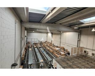 Industrial buildings for sale in Badalona