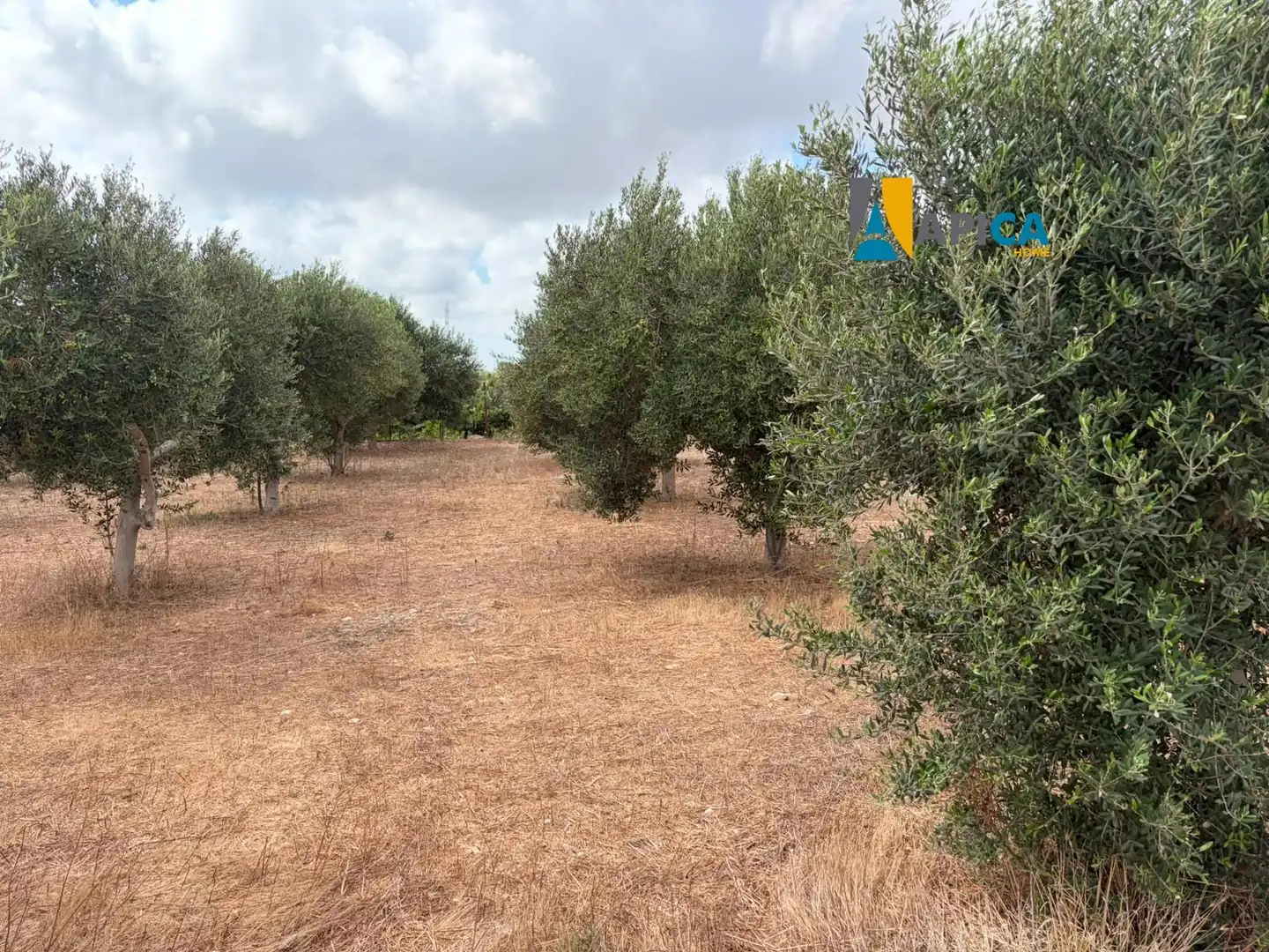 Rural land for sale in Los Franceses – La Vega, imagen 12