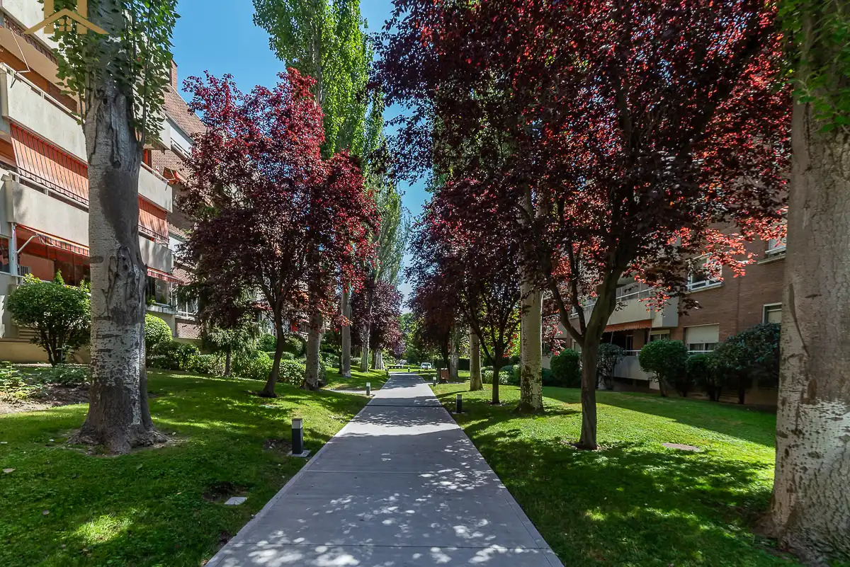 Piso con terraza en venta en Calle Solano, imagen 35