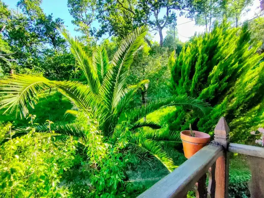 Garden of Detached homes for sale in Zeberio  with Balcony