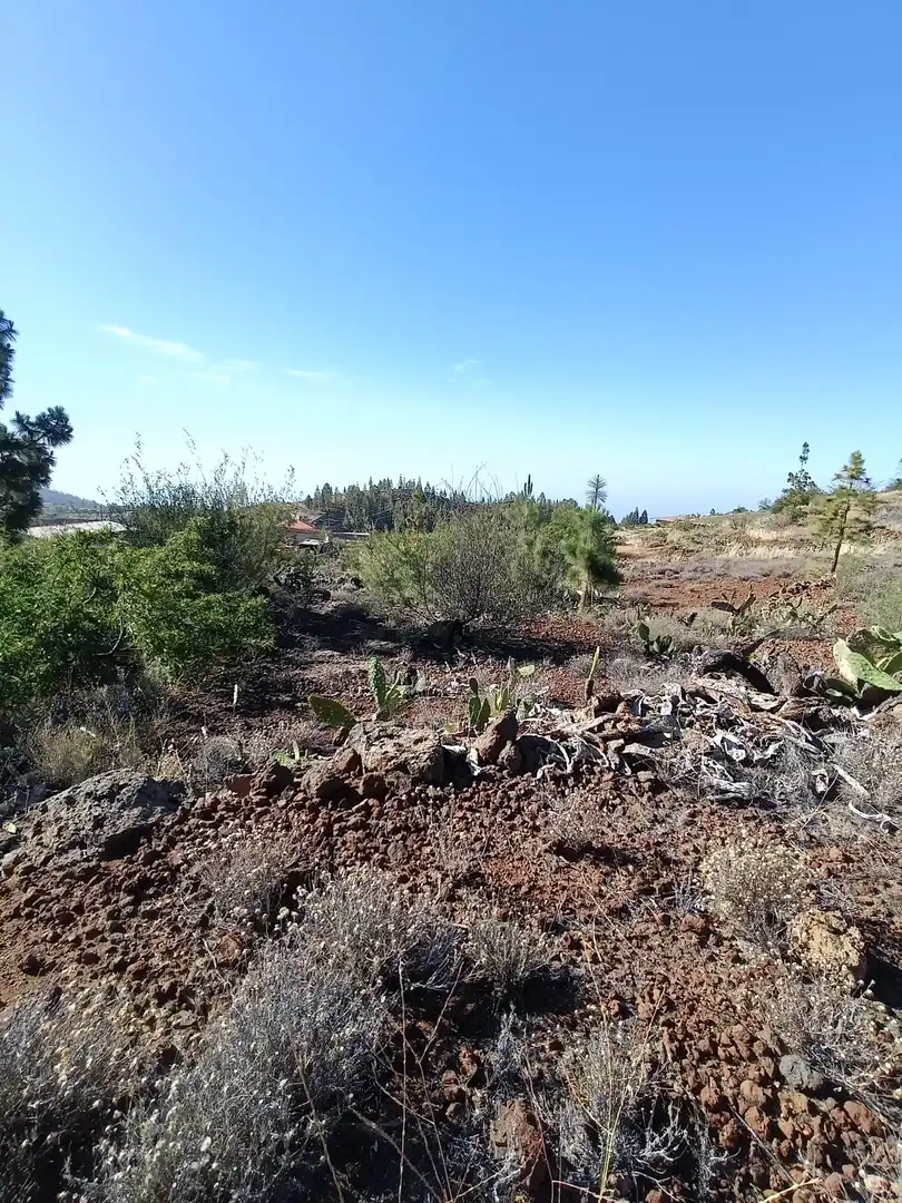 Terreno rústico en venta en M\A LIRIOS. VILAFLOR DE CHASNA [S.C. TENERIFE], imagen 13