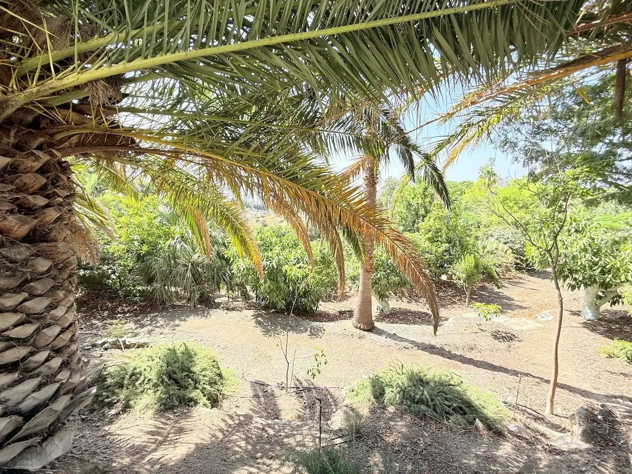 Casa o chalet en venta en Vélez-Málaga con Aire acondicionado, Calefacción y Jardín privado