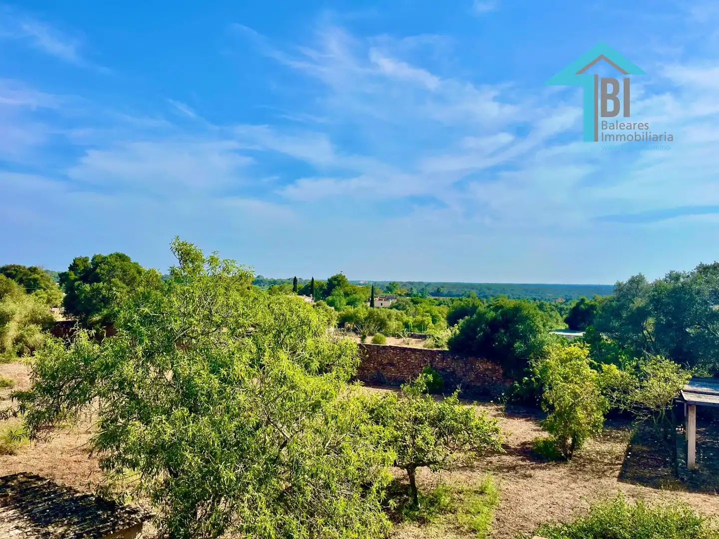 House with pool for sale in Llucmajor pueblo, imagen 29