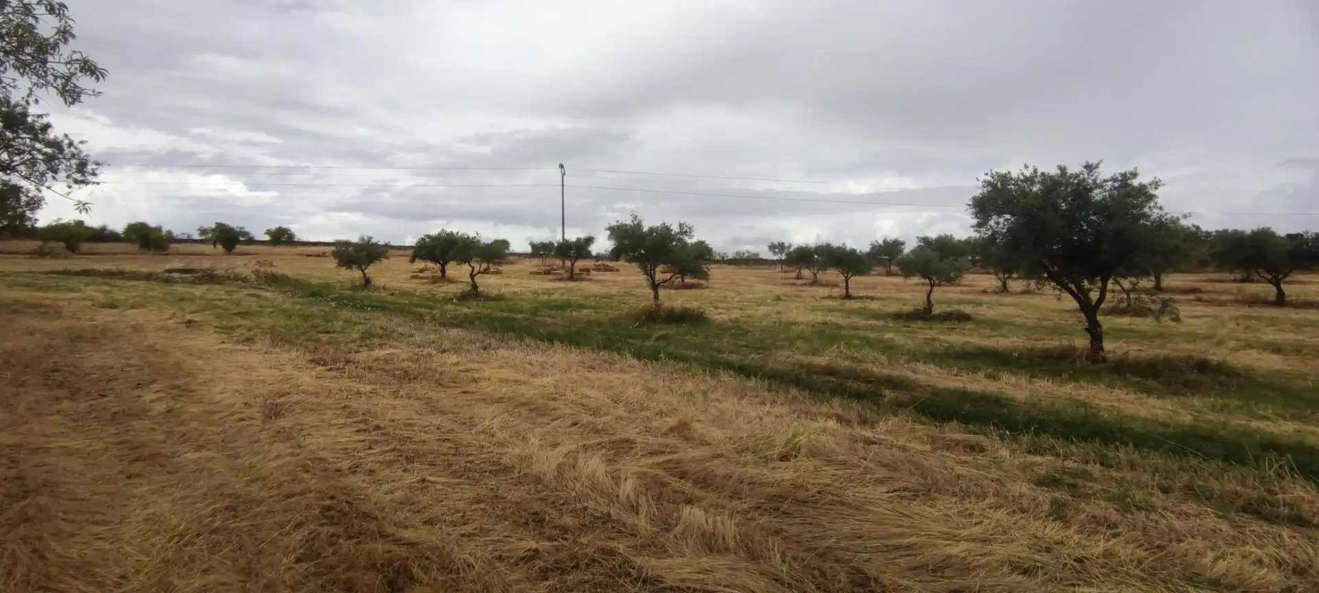 Terreni e lotti in vendita a Garrovillas de Alconétar, imagen 9