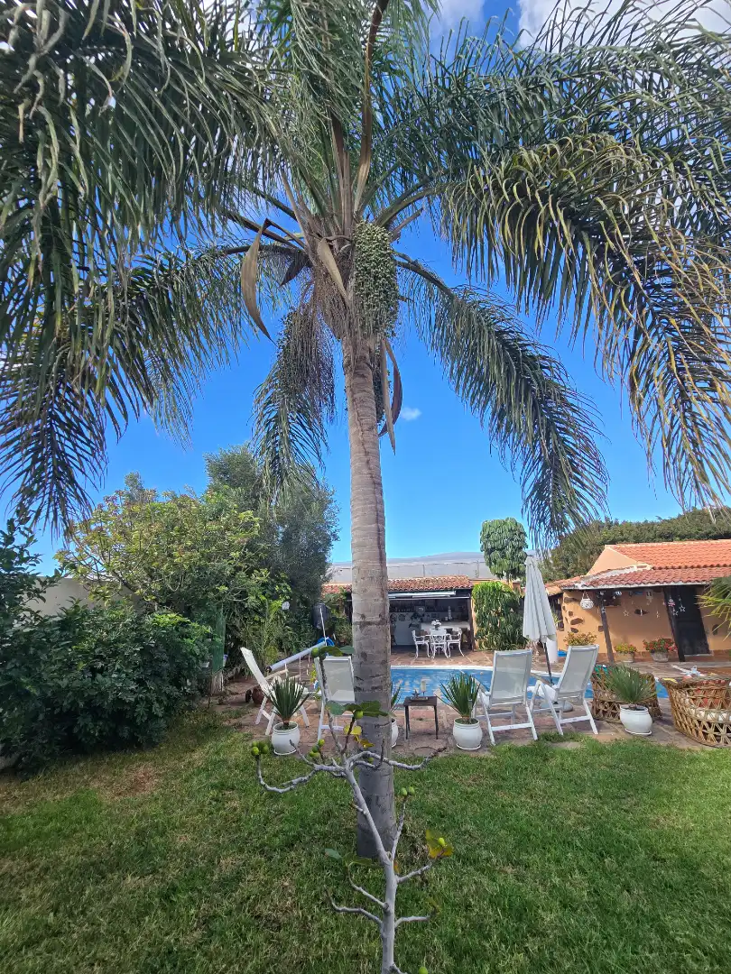 Jardí de Casa o xalet en venda en Arona amb Aire condicionat, Jardí privat i Parquet
