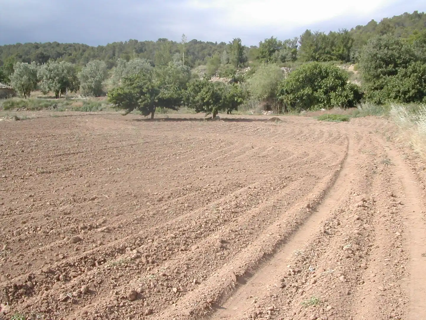 Terreni e lotti in vendita a La Portellada, imagen 5