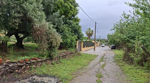 FINCA A 3 KM DE PLASENCIA, imatge 2