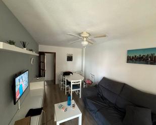 Living room of Flat to rent in San Pedro del Pinatar  with Furnished and Balcony