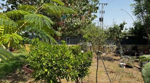 Photo 3 of House or chalet for sale in El Juncal - Vallealto, Cádiz