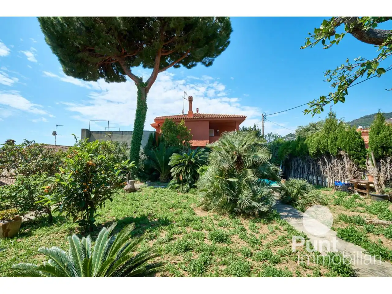 Jardí de Casa o xalet en venda en Premià de Dalt amb Piscina