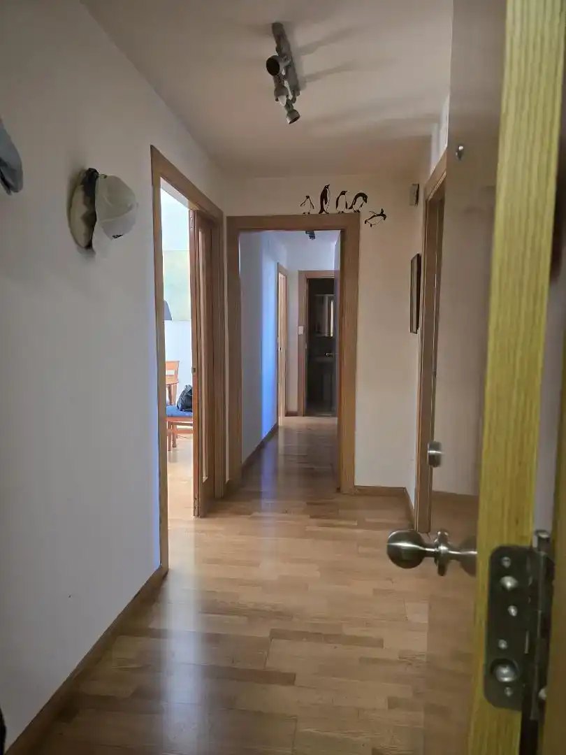 Flat for rent in Avda. Federico Garcia Lorca - Nueva Estación Autobuses