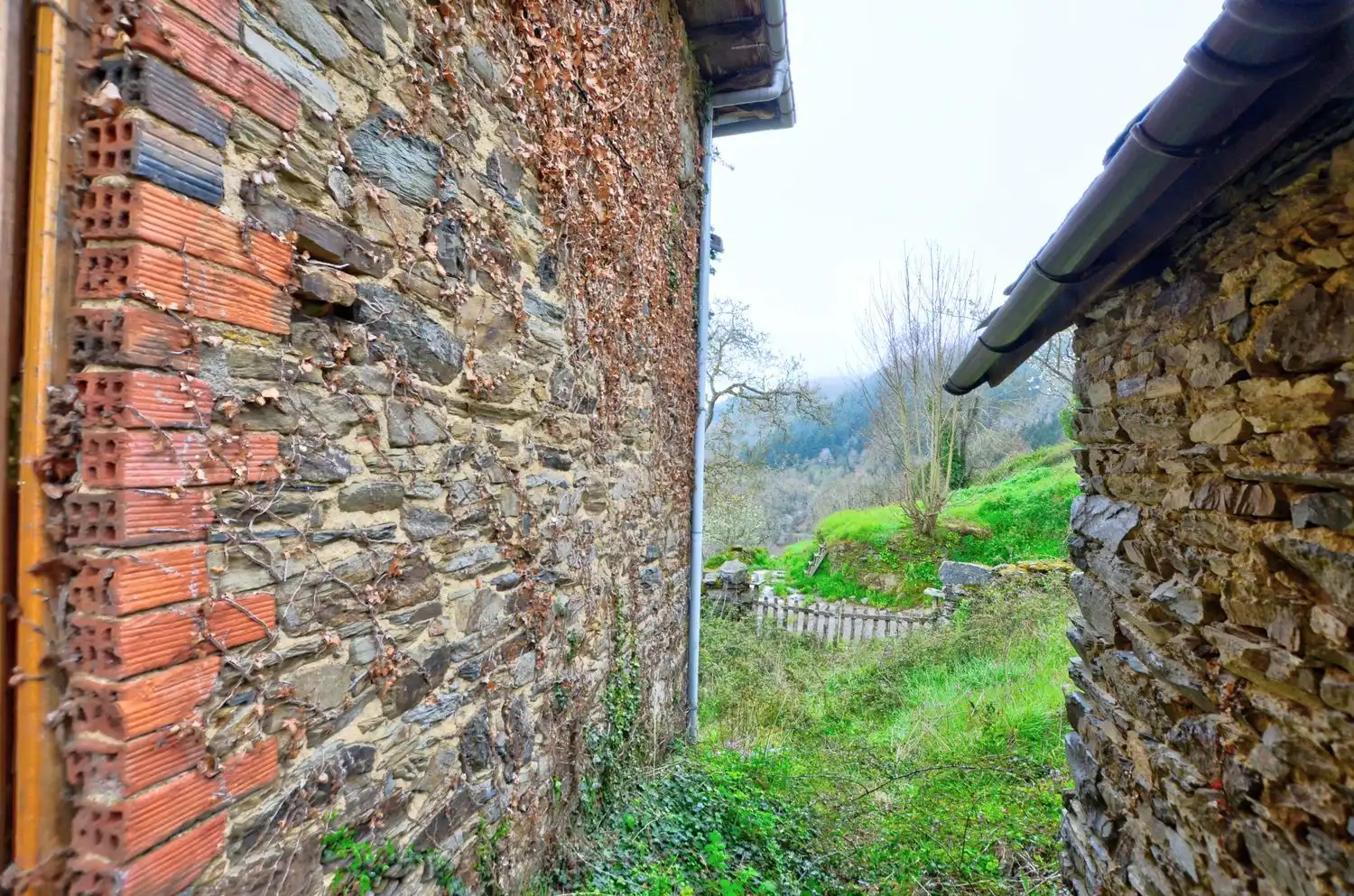 Exterior view of Houses for sale in Cangas del Narcea  with Heating, Storage room and Swimming Pool