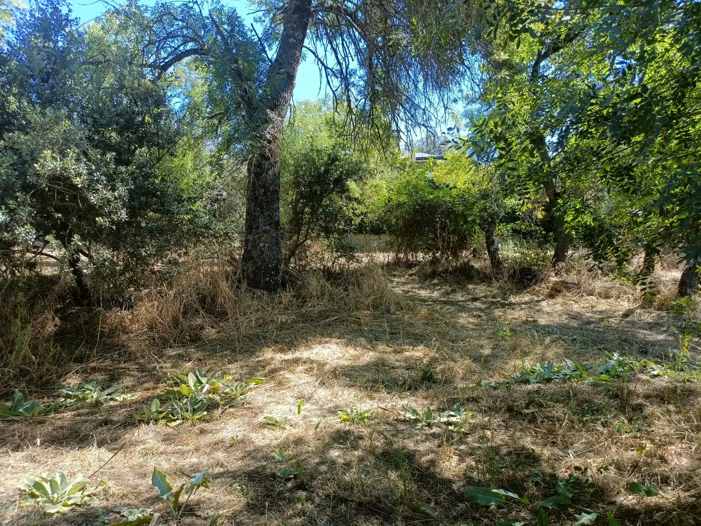 Terreny residencial en venda a Mojadillas - Parque de las Infantas - El Paraiso, imagen 9
