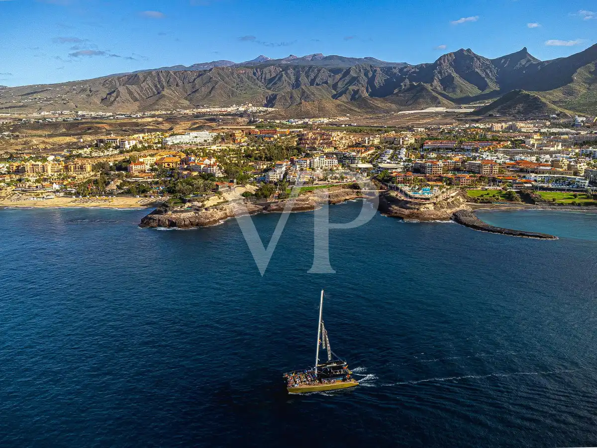Houses for sale in Playa del Duque