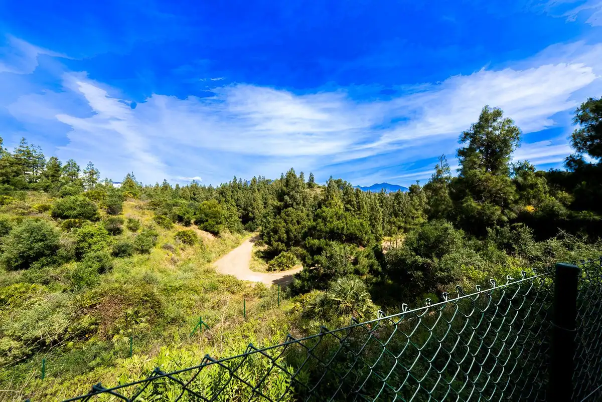 Vista exterior de Planta baixa en venda en Mijas amb Aire condicionat, Calefacció i Terrassa