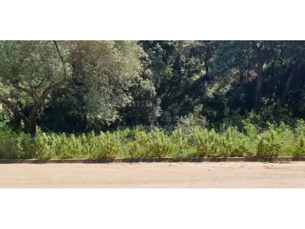 Terrain résidentiel à vendre à Platja de Pals, imagen 8
