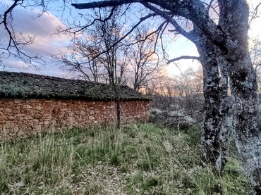 Terreno rustico in vendita a Calle Calvario 16