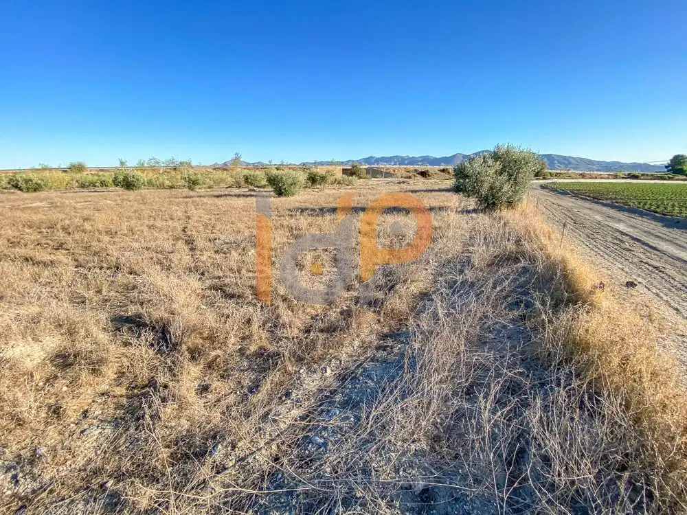 Terrain rustique à vendre à Huércal-Overa, imagen 6