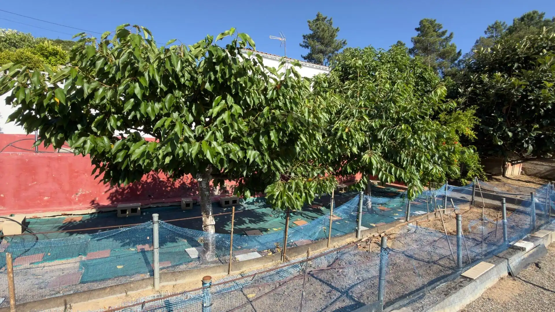 Jardí de Casa o xalet en venda en Maçanet de la Selva