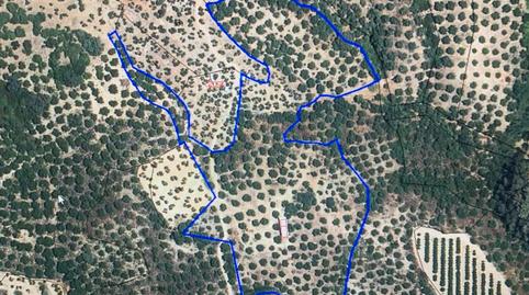 Foto 2 de Terreno en venta en A-436, 26, Alcolea del Río, Sevilla