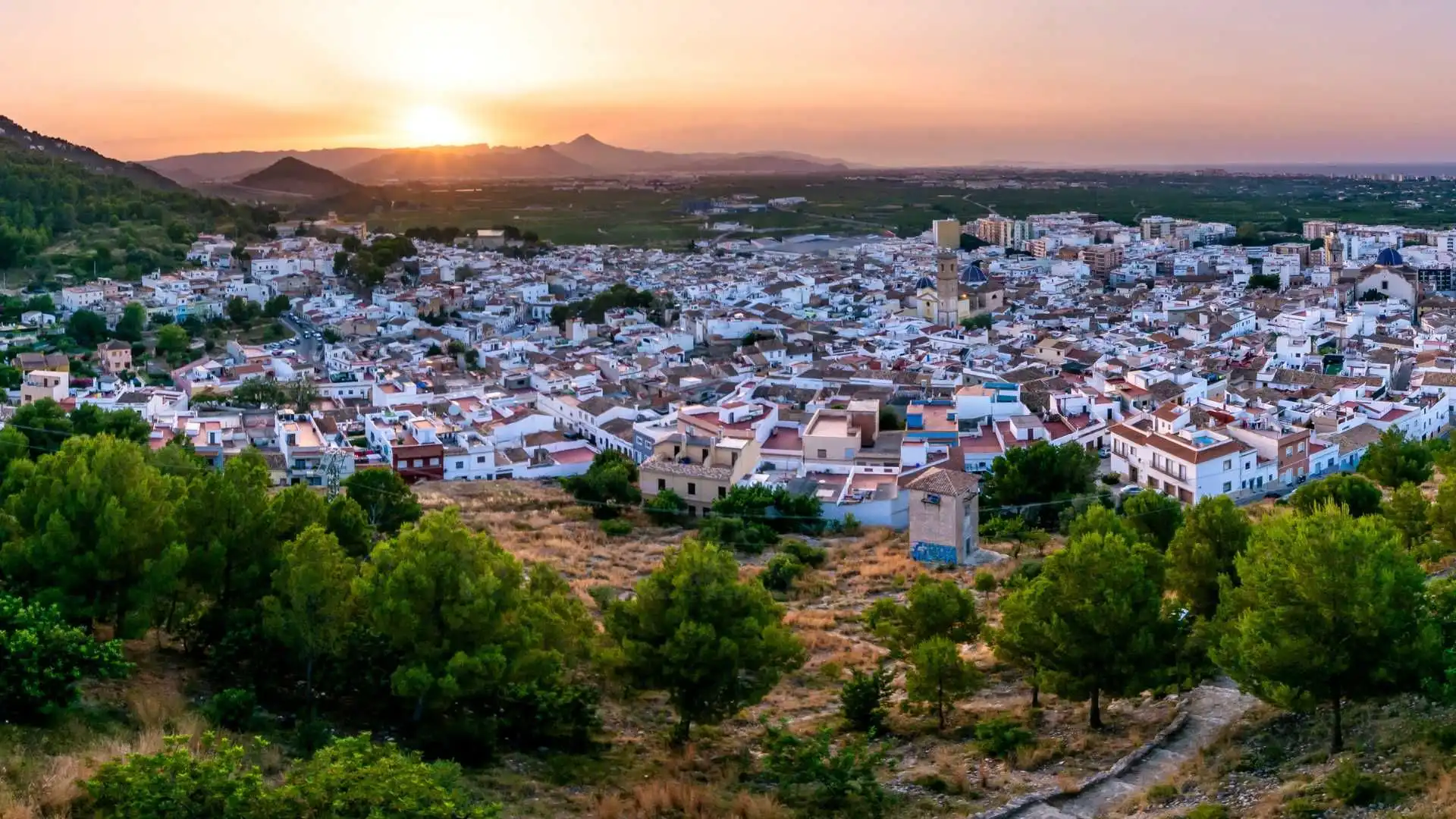 Terreny rústic en venda a Oliva pueblo, imagen 32