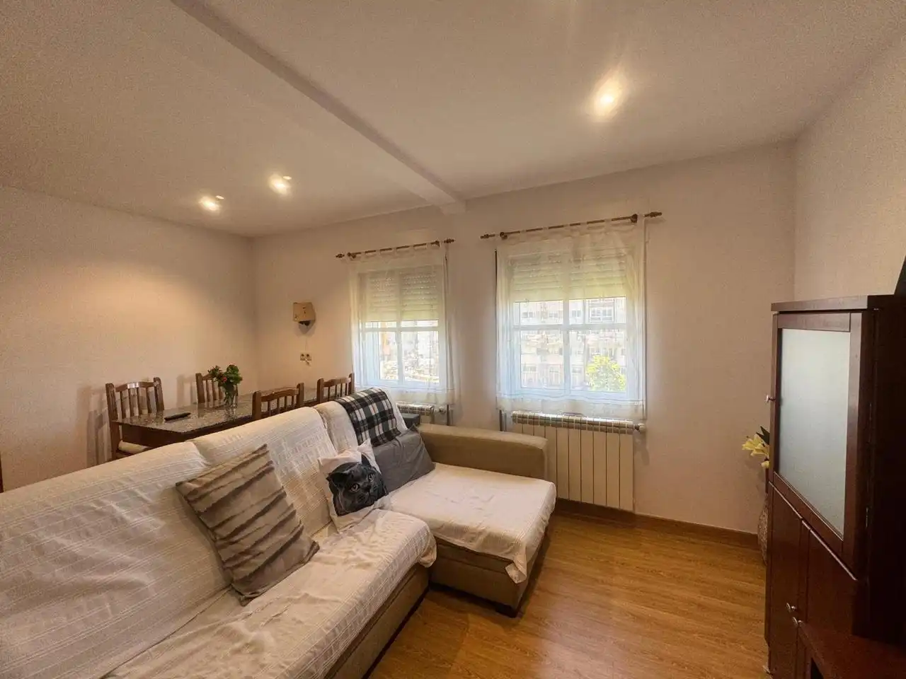 Living room of Flat for rent in A Coruña Capital   with Heating and Furnished