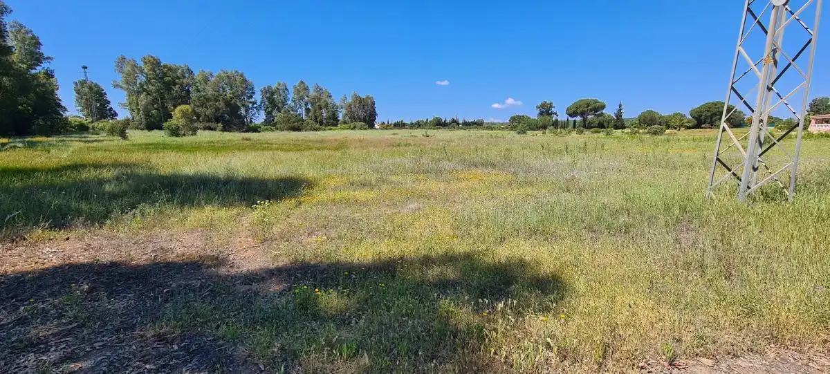 Terrenos y solares en venta en Gibraleón, imagen 2