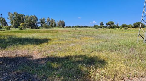 Finca Rúst. en venta en Gibraleón., immagine 2