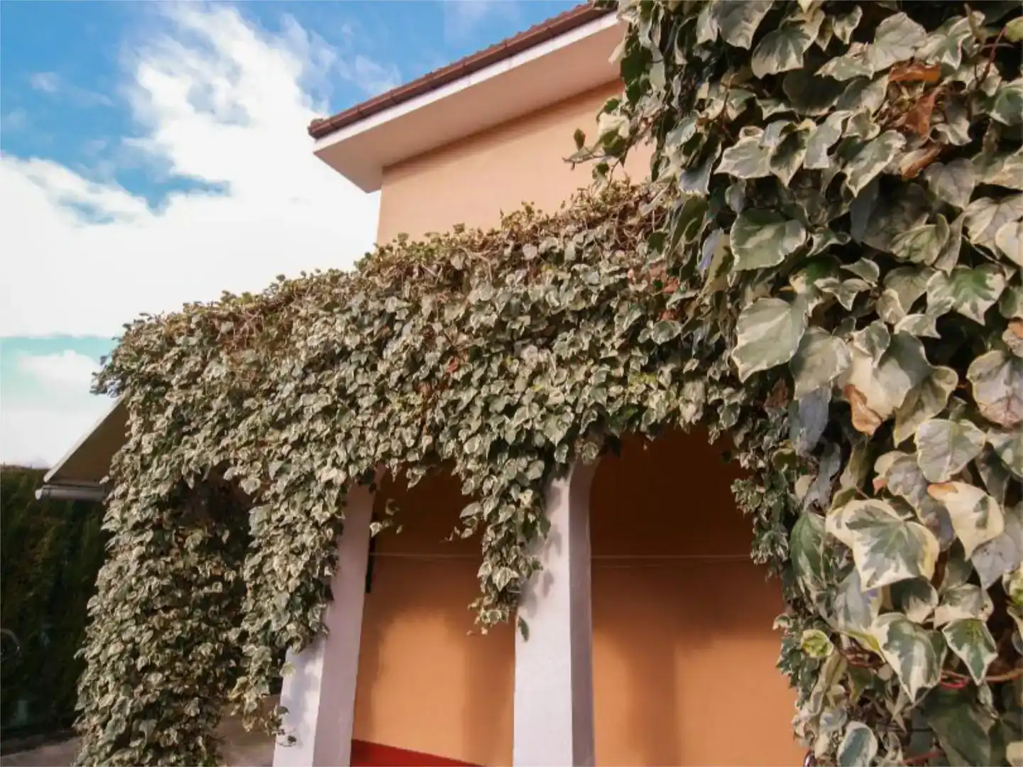 Vista exterior de Casa o chalet en venta en Trespaderne, Burgos