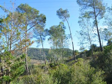 Terreno residencial en venta en Olivella