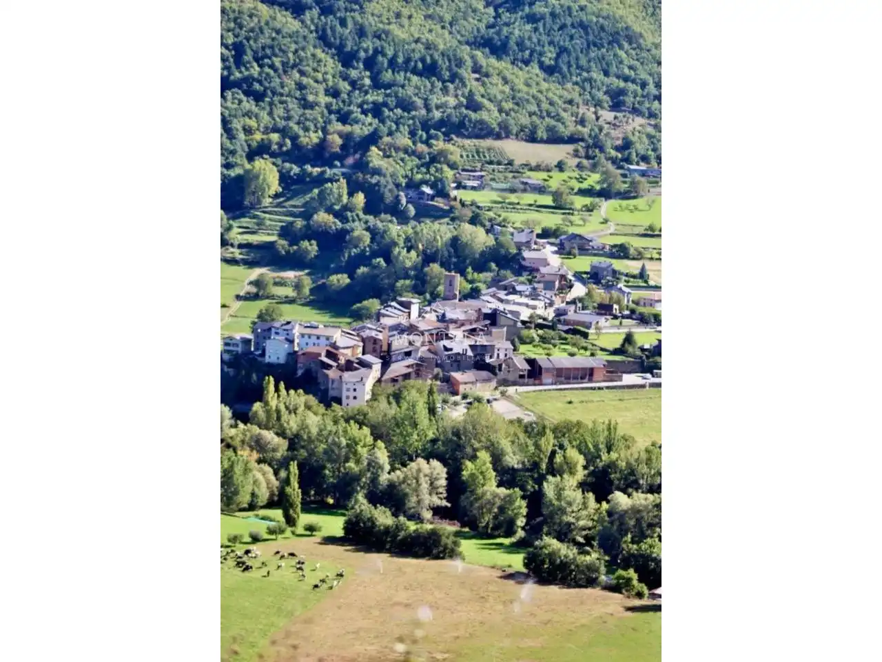 Rural land for sale in La Seu d'Urgell, imagen 7