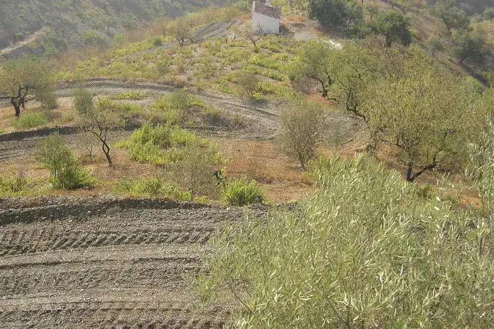 Terreno rústico en venta en Sedella, imagen 6