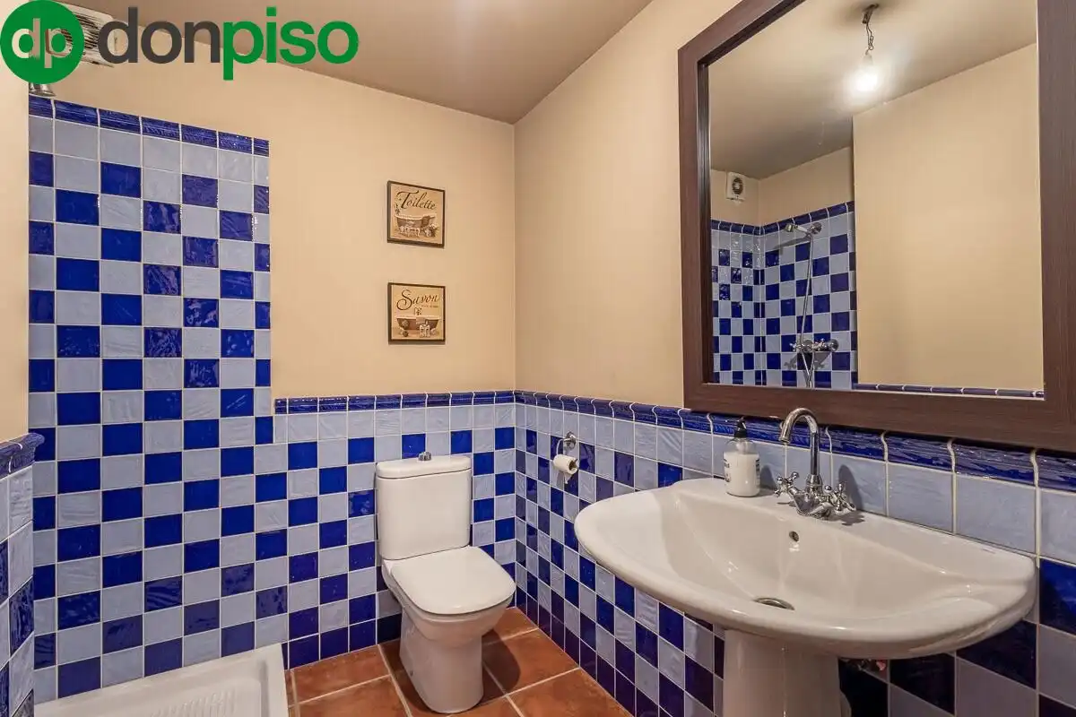 Villa mit Pool zum Verkauf in Calle DE LAS CAÑAS, imagen 28